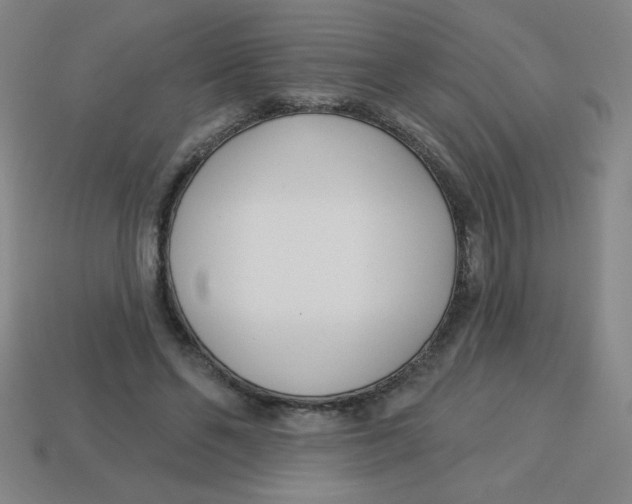 X0000113740494200910141007