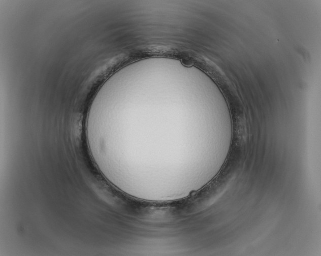 X0000113740495200910141007