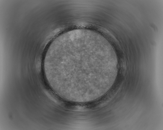 X0000113740496200910141007