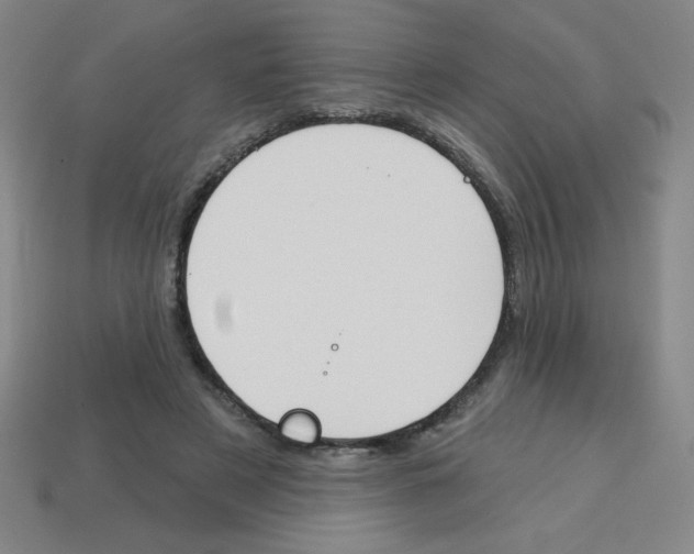 X0000113740497200910141007