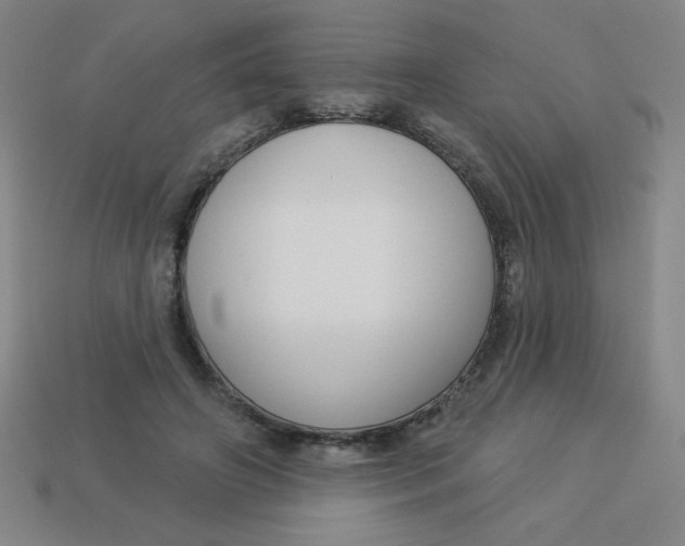 X0000113740498200910141007