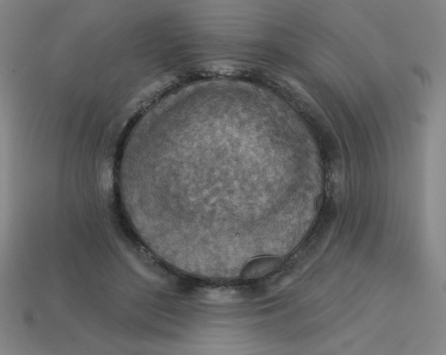 X0000113740500200910141007