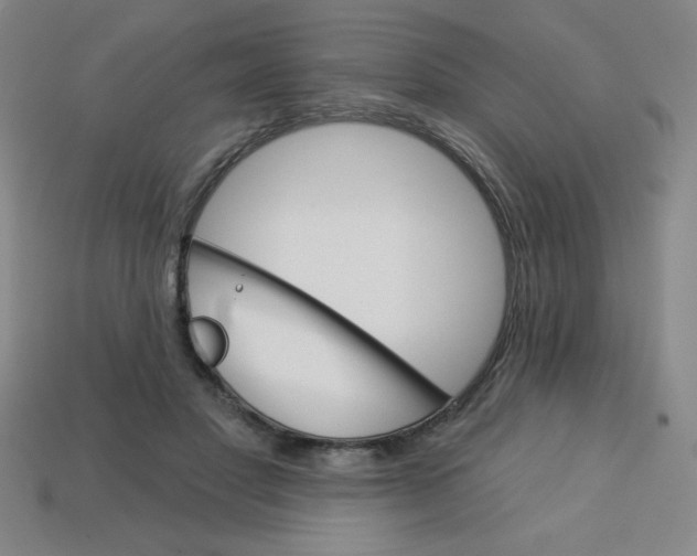 X0000113740501200910141007