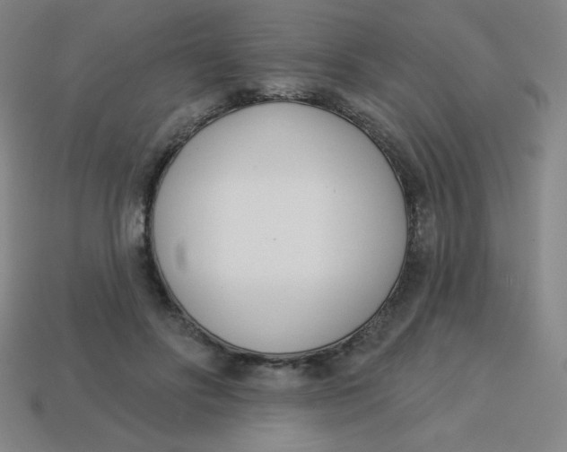 X0000113740502200910141007