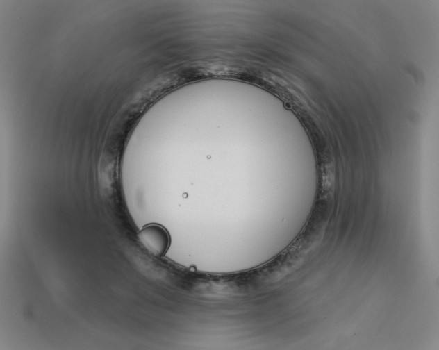 X0000113740503200910141007