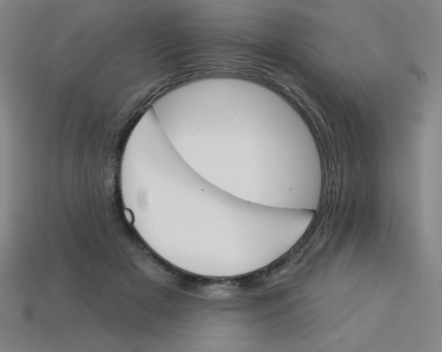 X0000113740505200910141007