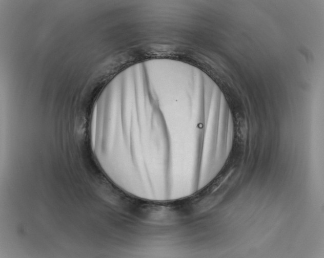 X0000113740507200910141007