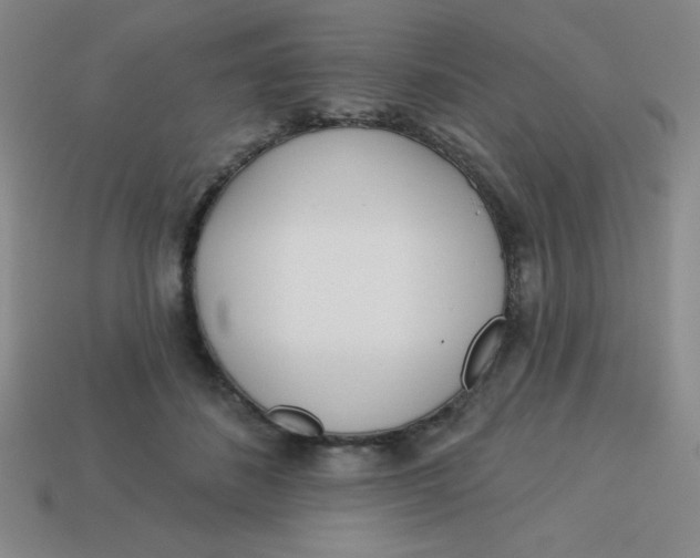 X0000113740508200910141007