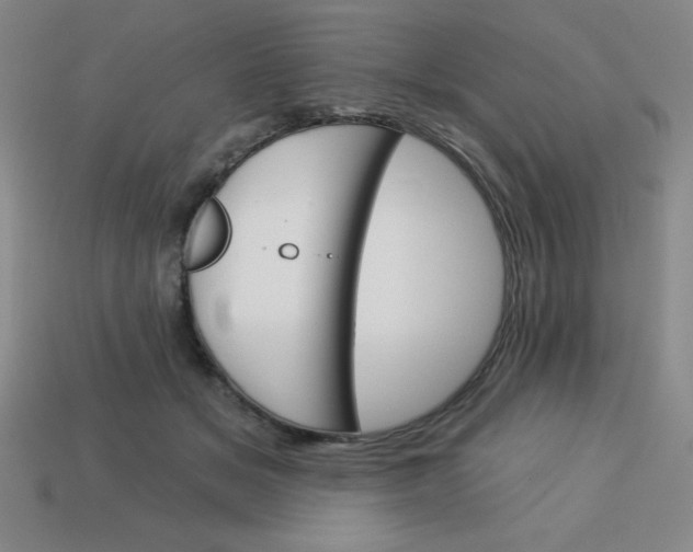 X0000113740509200910141007