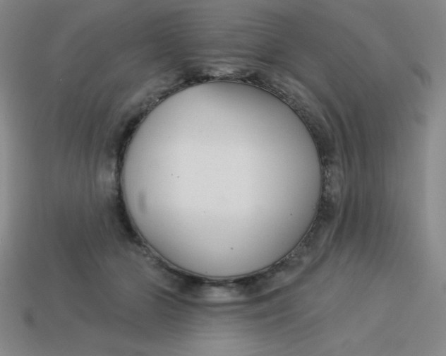 X0000113740510200910141007