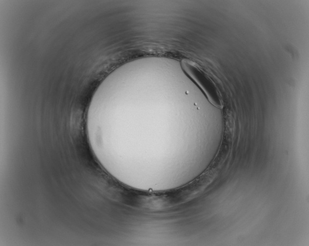 X0000113740511200910141007