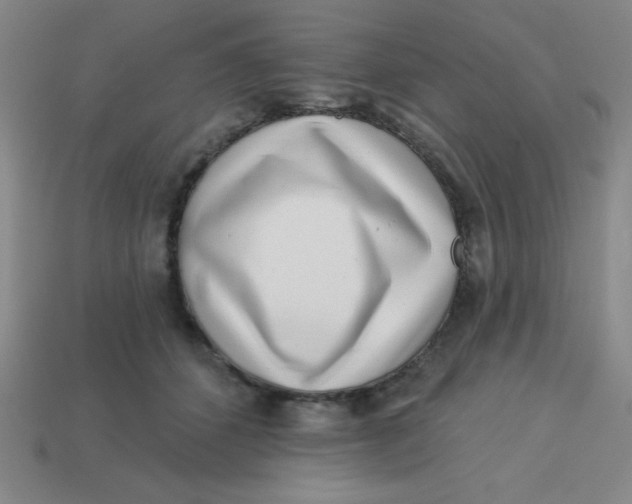 X0000113740512200910141007