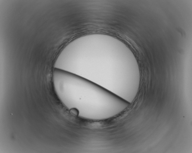 X0000113740513200910141006