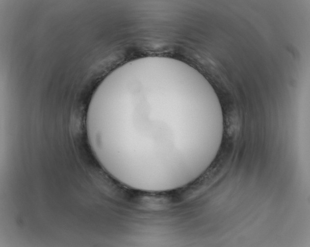 X0000113740515200910141006