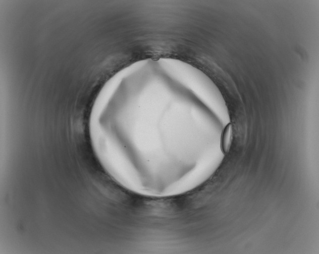 X0000113740516200910141006