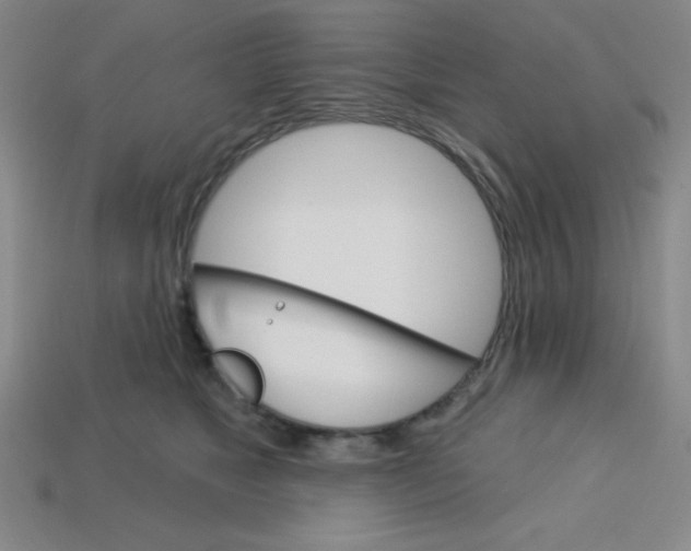 X0000113740517200910141006