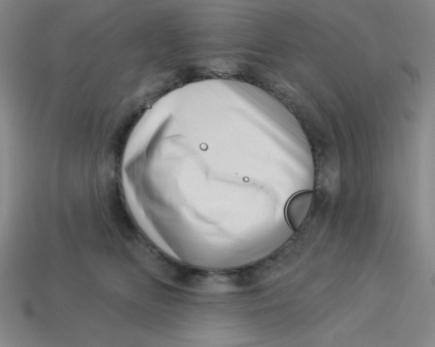 X0000113740518200910141006