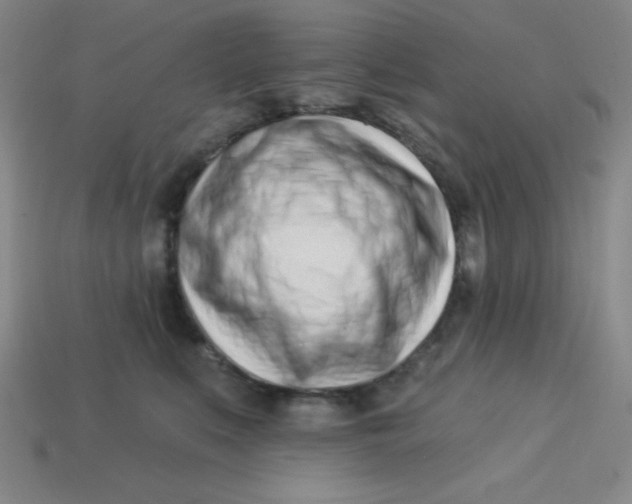 X0000113740519200910141006