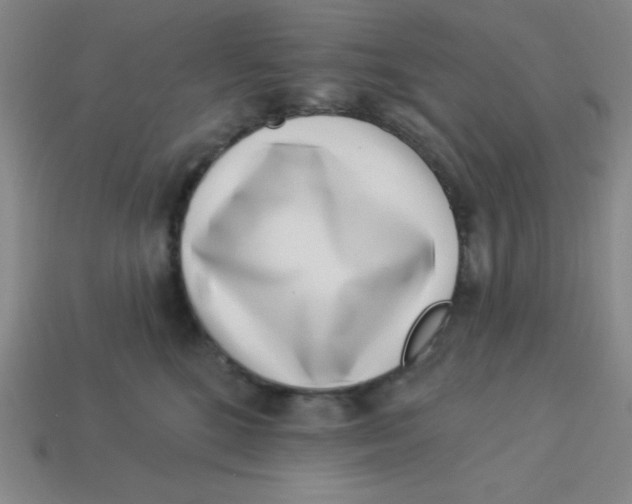 X0000113740520200910141006