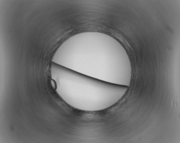 X0000113740521200910141006