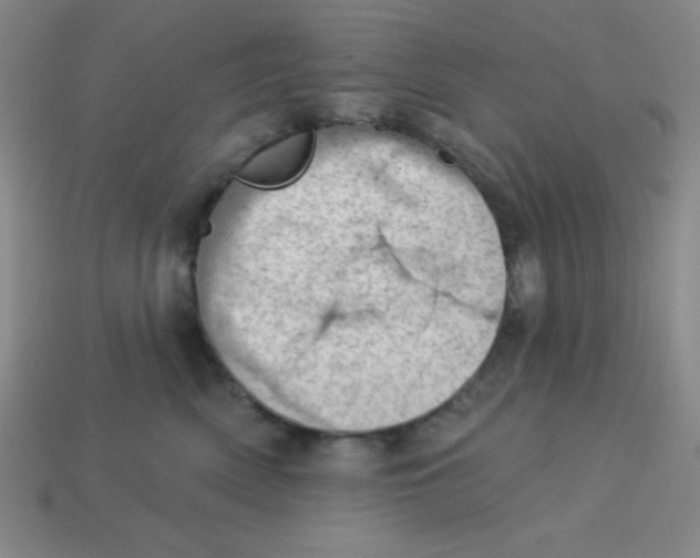 X0000113740522200910141006