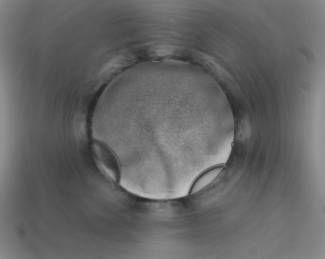 X0000113740524200910141006