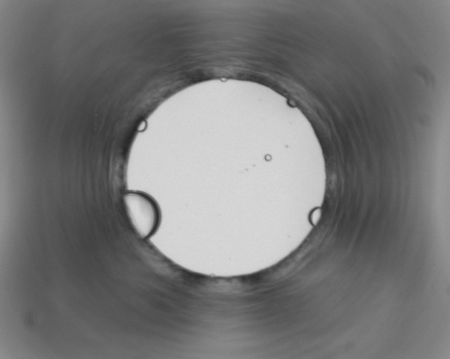 X0000113740525200910141006