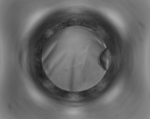 X0000113740526200910141006