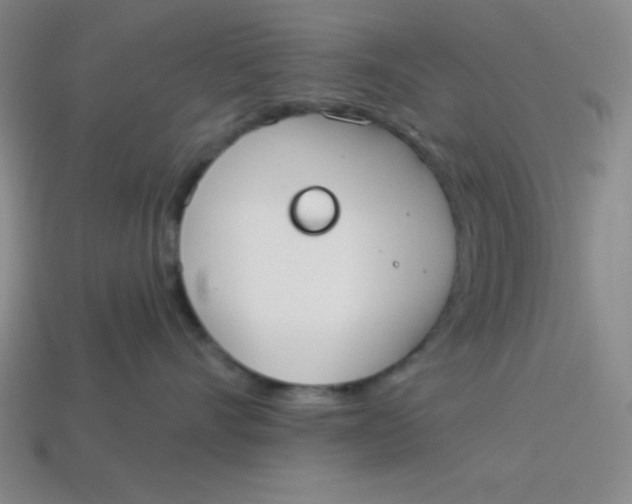 X0000113740528200910141006