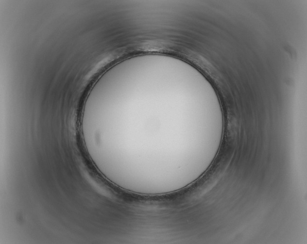 X0000113740530200910141006