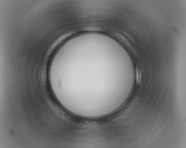 X0000113740531200910141006