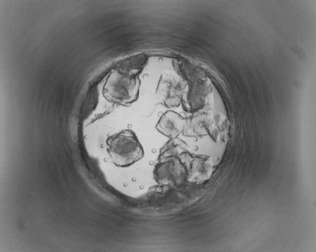 X0000113740533200910141006