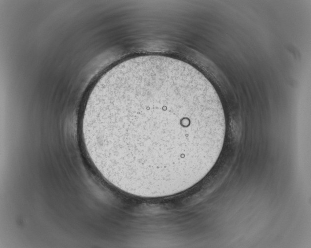 X0000113740534200910141006