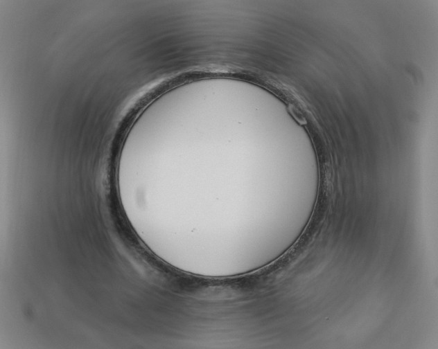 X0000113740536200910141006