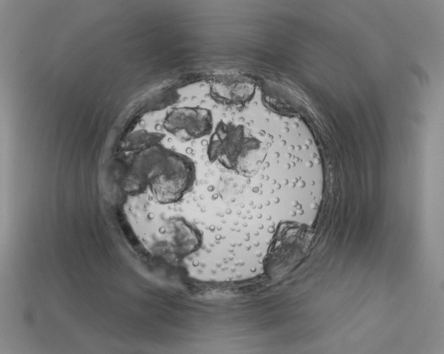 X0000113740537200910141006