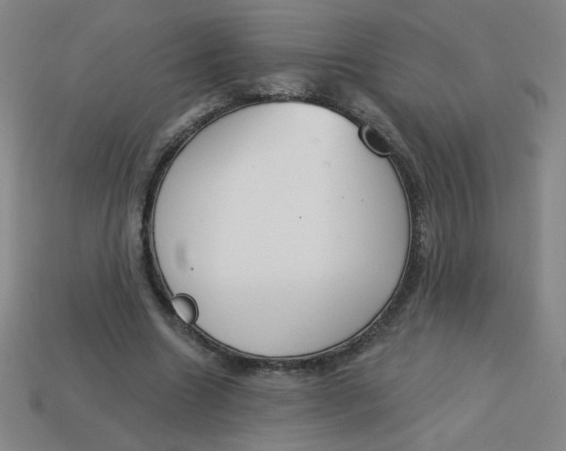 X0000113740538200910141006