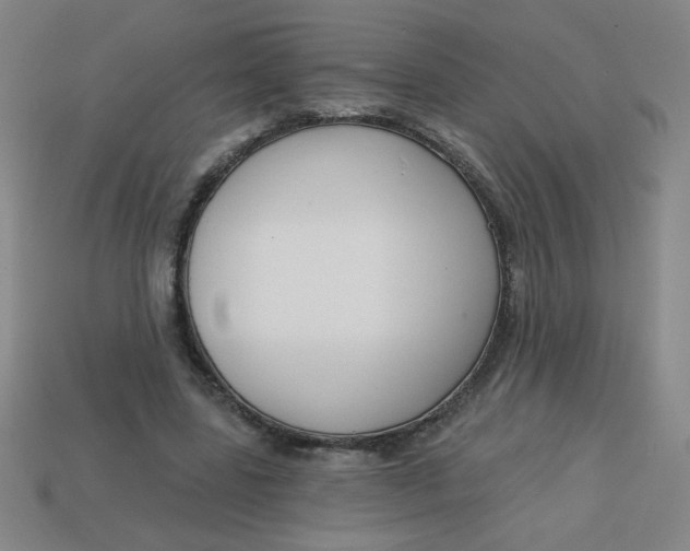 X0000113740539200910141006