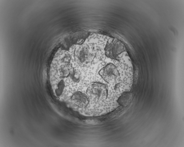 X0000113740541200910141006