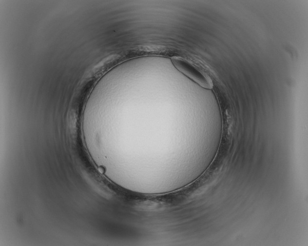 X0000113740542200910141006