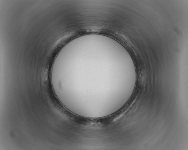 X0000113740543200910141006