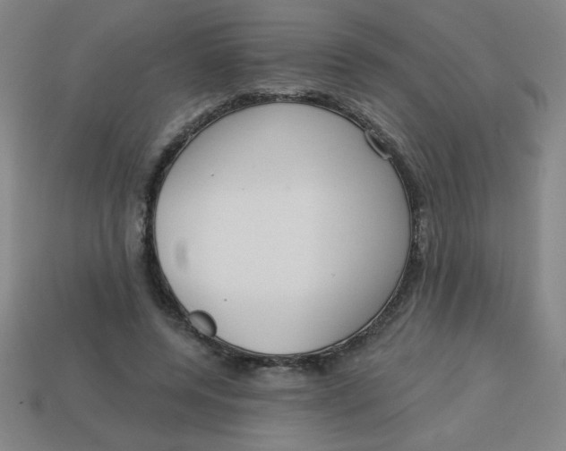 X0000113740544200910141006