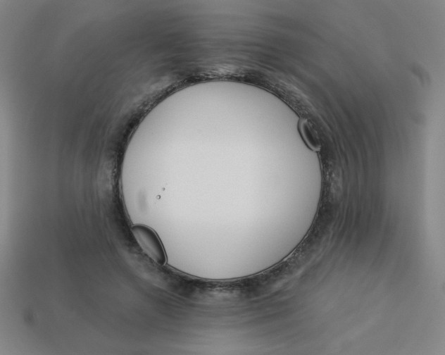 X0000113740546200910141006