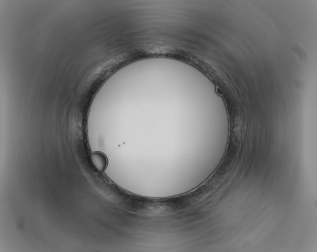 X0000113740547200910141006