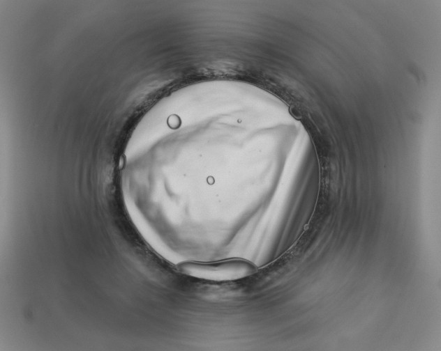 X0000113740548200910141006