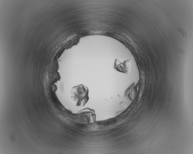 X0000113740549200910141006