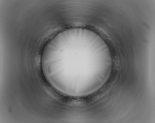 X0000113740550200910141006