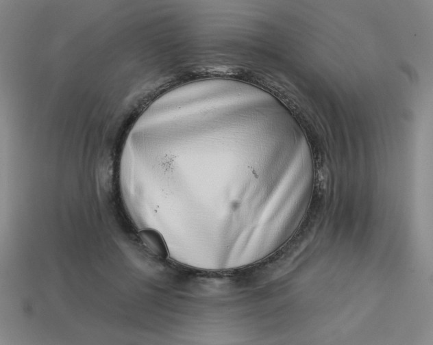 X0000113740552200910141006