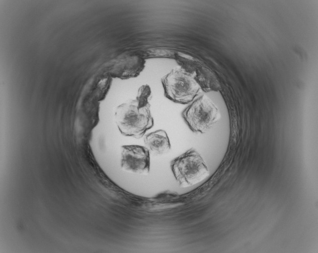 X0000113740553200910141006