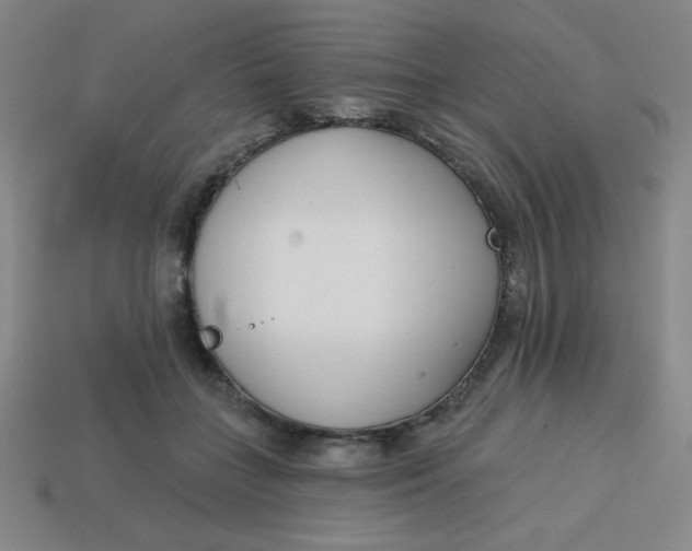 X0000113740555200910141006