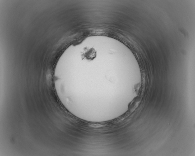 X0000113740557200910141006